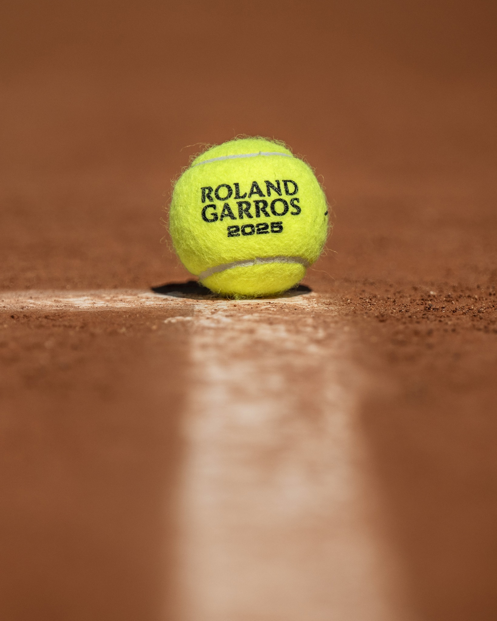 借用他们的 借用他们的